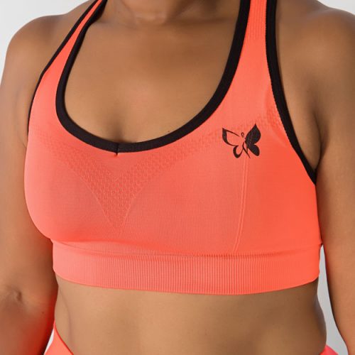Cassidy Sports Bra