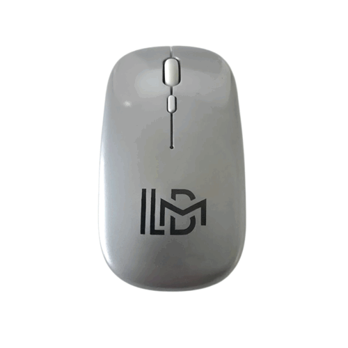 Noise Free Click Wireless Mouse